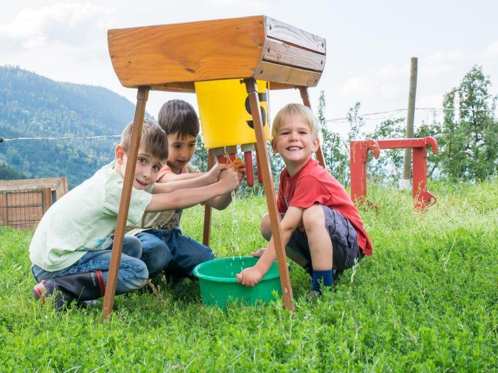 Loecherhansenhof Daire Bad Peterstal-Griesbach Dış mekan fotoğraf