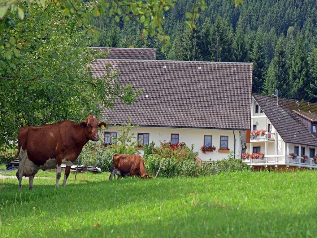 Loecherhansenhof Daire Bad Peterstal-Griesbach Dış mekan fotoğraf